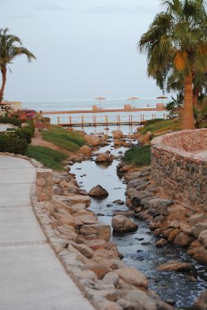 Отель Moevenpick Resort & Spa El Gouna 5*