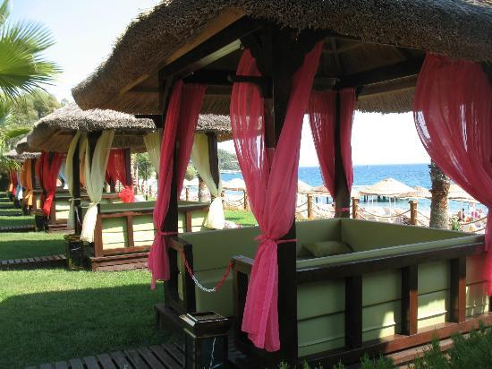 Отель Latanya Bodrum Beach Resort 4*
