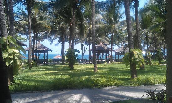 Отель Blue Ocean Resort 3*
