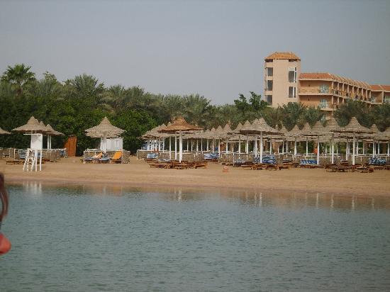 Отель Siva Grand Beach 4*