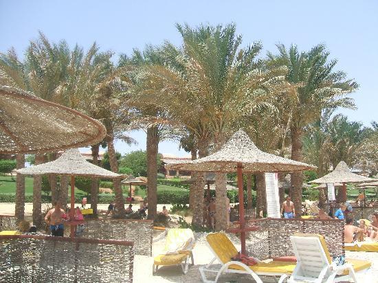 Отель Calimera Habiba Beach Resort 4*