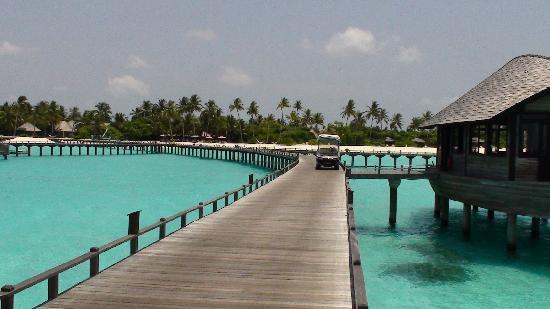 Отель The Hilton Maldives 5*