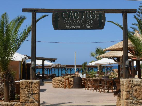 Отель Cactus Beach 4*