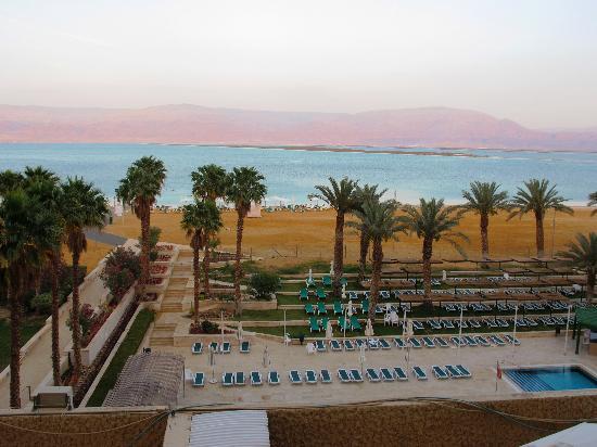 Отель Leonardo Dead Sea 4*