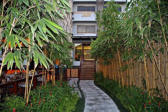 Отель Bamboo House 3*