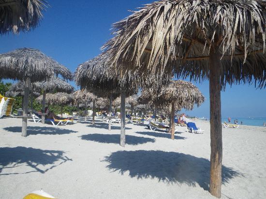 Отель Iberostar Playa Alameda 4*