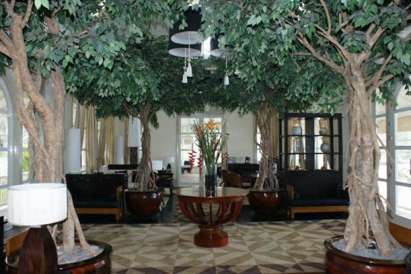 Отель Banyan Tree 5*
