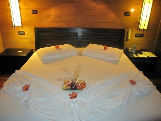 Отель Meeru Island Resort 4*