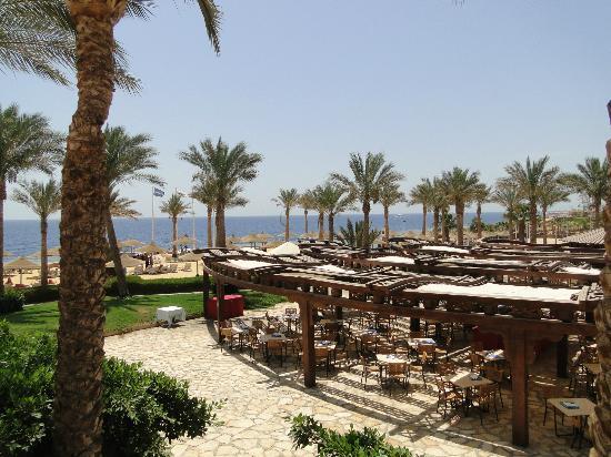 Отель Veraclub Queen Sharm 5*