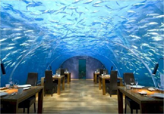 Отель Conrad Maldives Rangali Island 5*