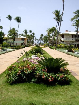 Отель Sirenis Cocotal Beach Resort 5*