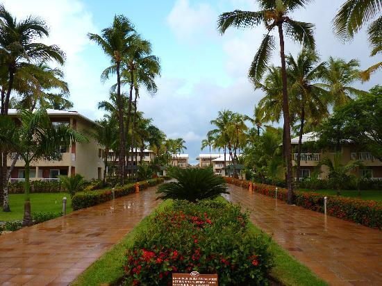 Отель Sirenis Cocotal Beach Resort 5*