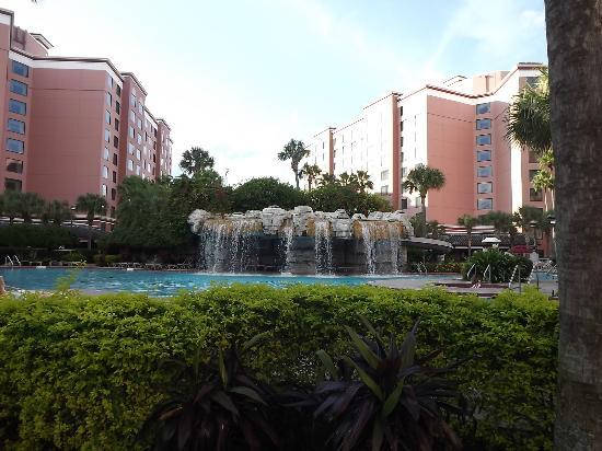 Отель Caribe Royale Resort 4*