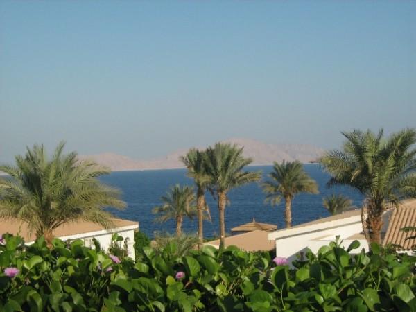 Отель Sheraton Sharm Hotel Resort Villas & Spa 5*