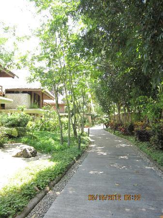 Отель Panglao Island Nature Resort 4*