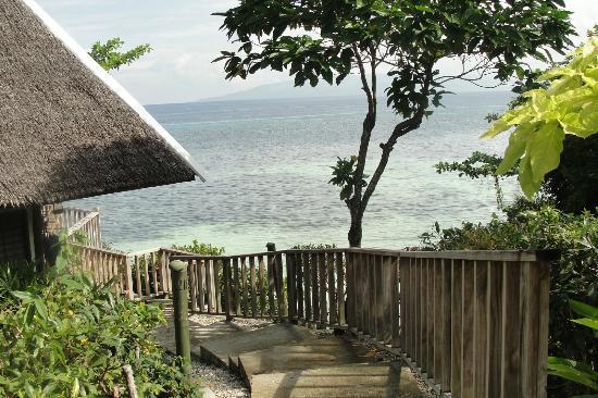 Отель Panglao Island Nature Resort 4*