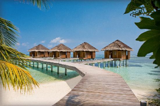 Отель LUX Maldives 5*