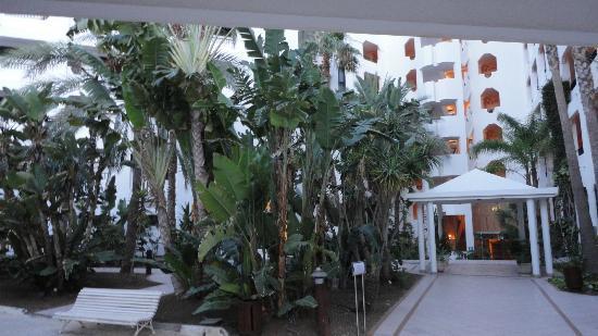 Отель IFA Beach 3*