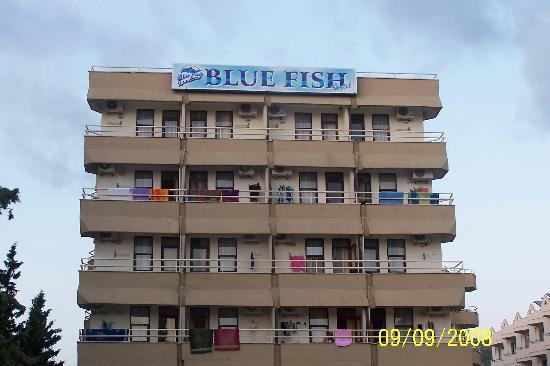 Отель Blue Fish 3*