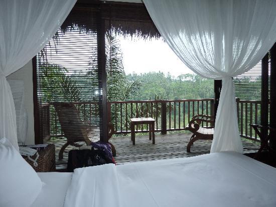 Отель Nandini Bali Resort & Spa 4*