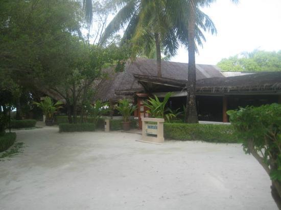 Отель Chaaya Island Dhonveli 4*