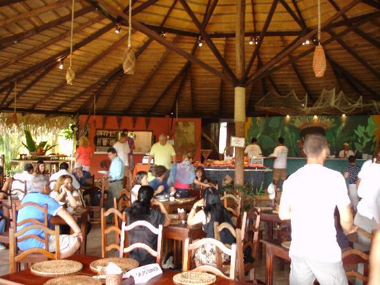 Отель Amazon Ecopark Lodge 3*
