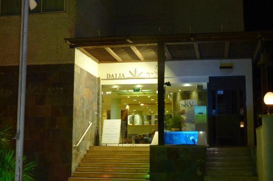 Отель Dalia 3*