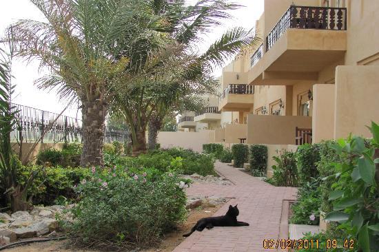 Отель Al Hamra Village Town House 5*