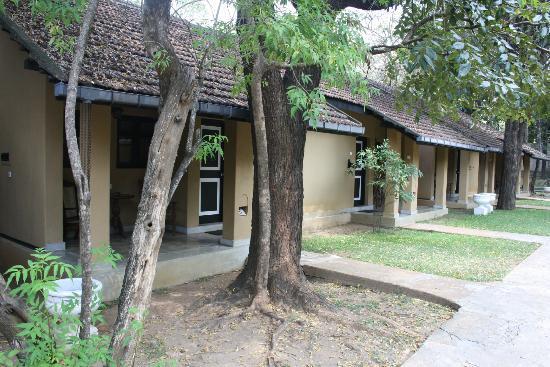 Отель Chaaya Village Habarana 4*