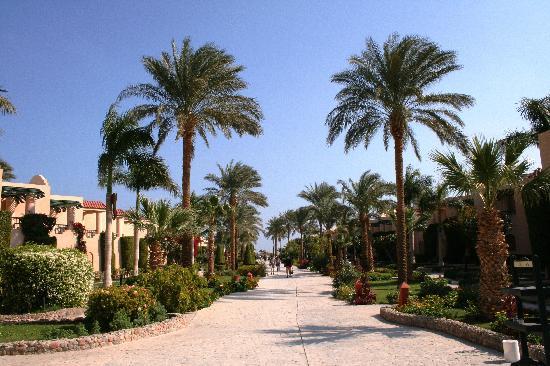 Отель Aladdin Beach Resort 4*