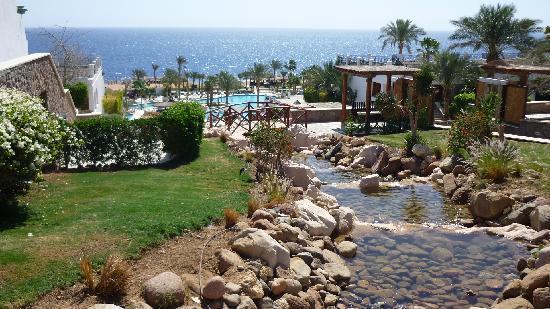 Отель Hilton Sharm Waterfalls 5*