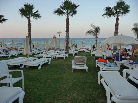 Отель Constantinos the Great Beach 4*