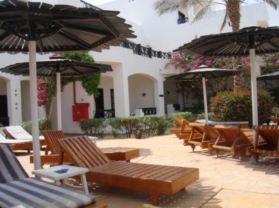 Отель Verginia Sharm 4*