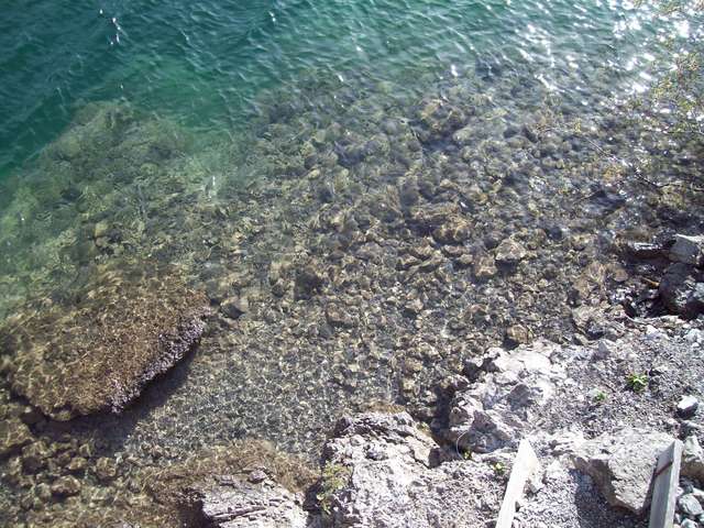 Вот такая прозрачная вода в озере Планзее
