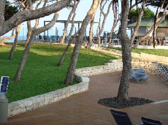 Отель Iberostar Playa de Muro Village 4*