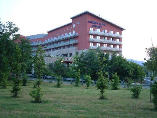 Отель Thermal Hotel Visegrad 4*