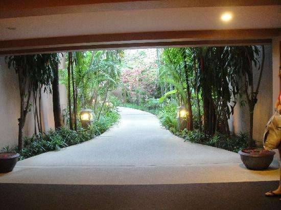 Отель Phuket Orchid Resort 3*