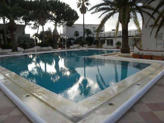 Отель Terme Royal Palm 4*