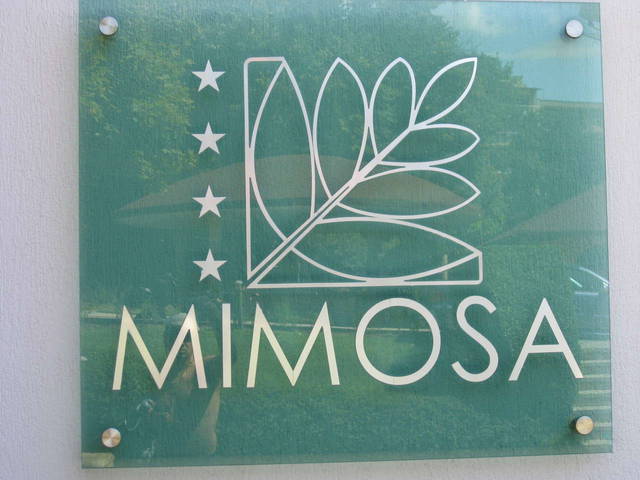 Отель Мимоза 4*