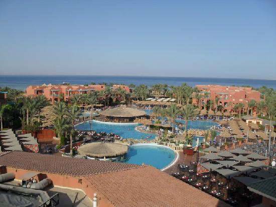 Отель Sharm Life 3*