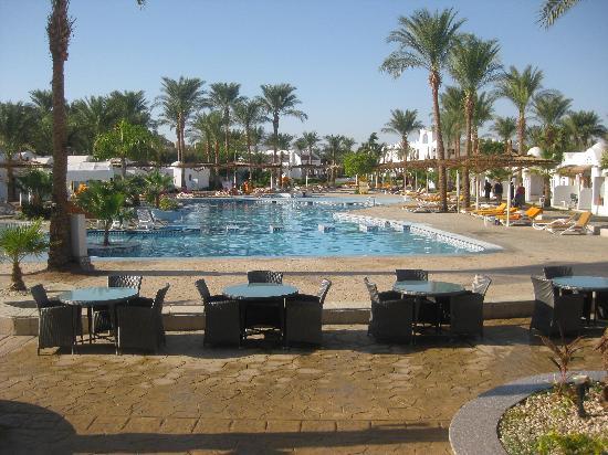Отель Sonesta Beach Resort & Casino 5*