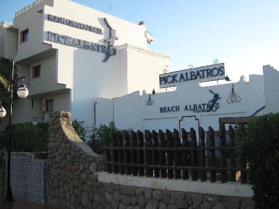 Отель Beach Albatros Sharm 4*