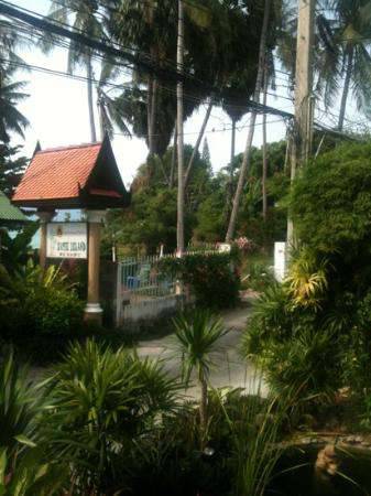 Отель Samui Island Beach Resort & Hotel 3*