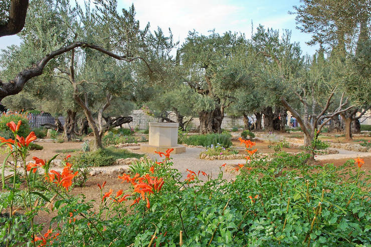 Паломнический тур по святым местам Израиля