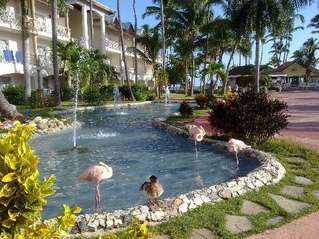 отель Be Live Grand Punta Cana 5*