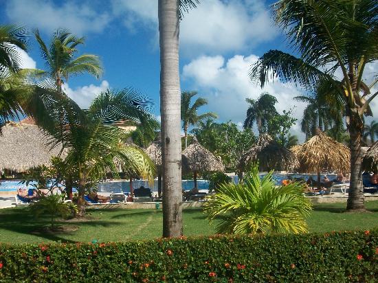 Отель Gran Bahia Principe Bavaro 5*