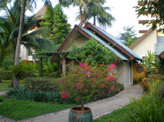 Отель Moevenpick Resort and Spa Karon Beach 4*