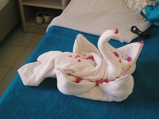 Отель Sea Gull Premium Resort 4*