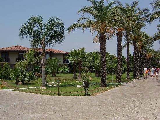 Отель Iberotel Palm Garden 5*
